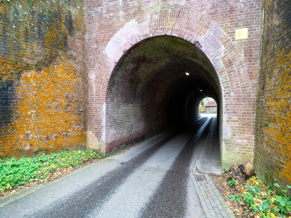 Photo 42