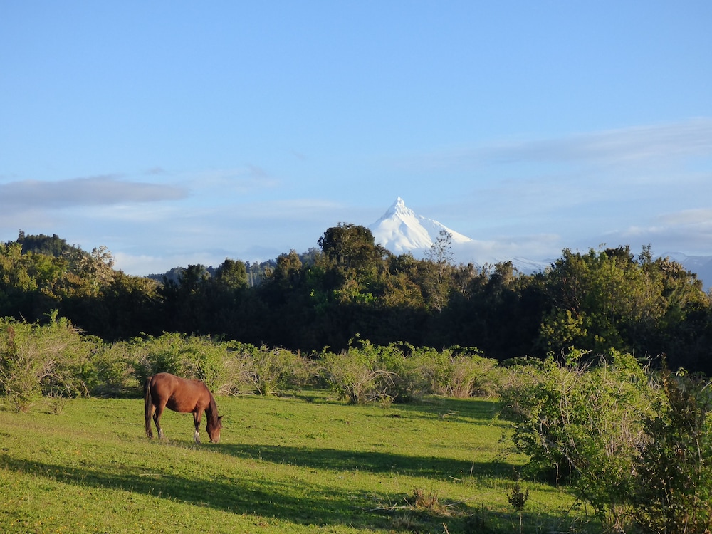Yurt in Puyehue with Volcano Views