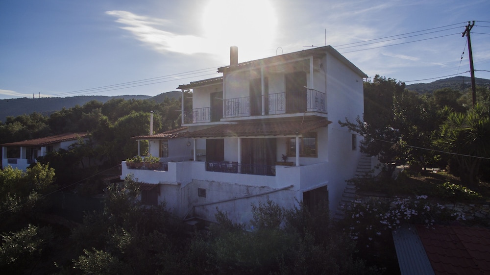 Camelia Studios