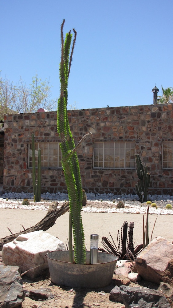Mount Canyon Guest Farm