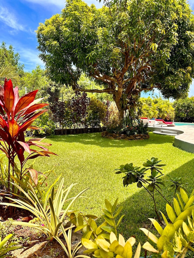Bora - Villa Reva Luxury