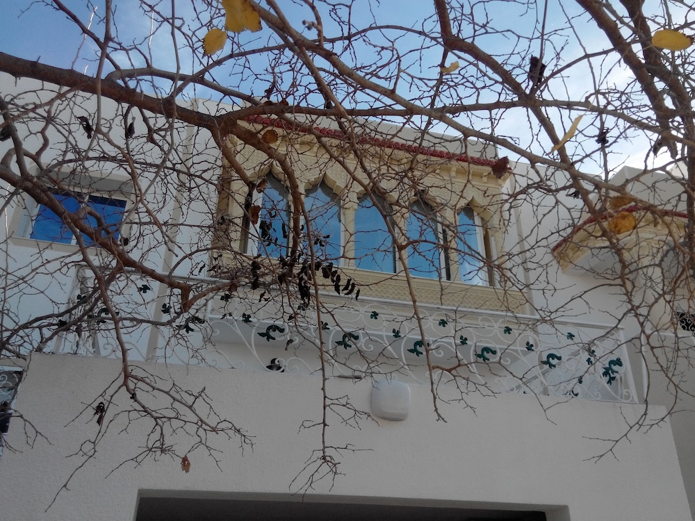 Photo 19