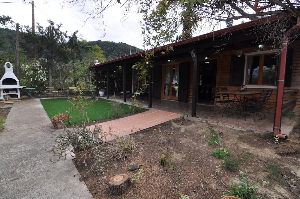 Zennova 25  Casa Mocha view 3