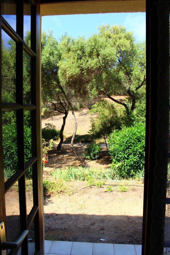 Photo 22