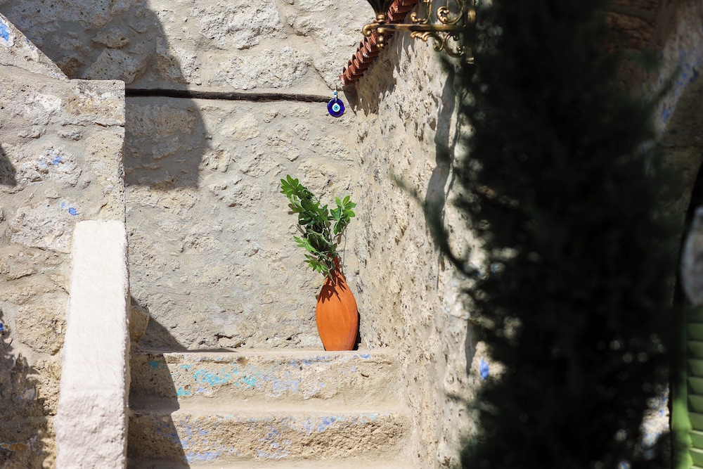 Photo 40