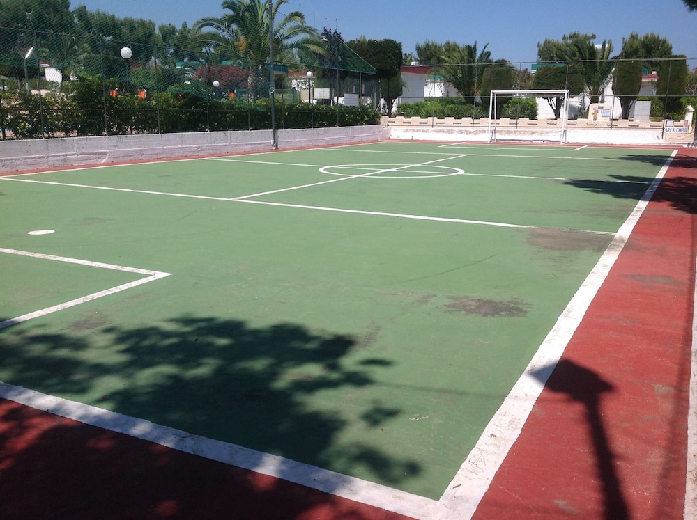 Photo 20