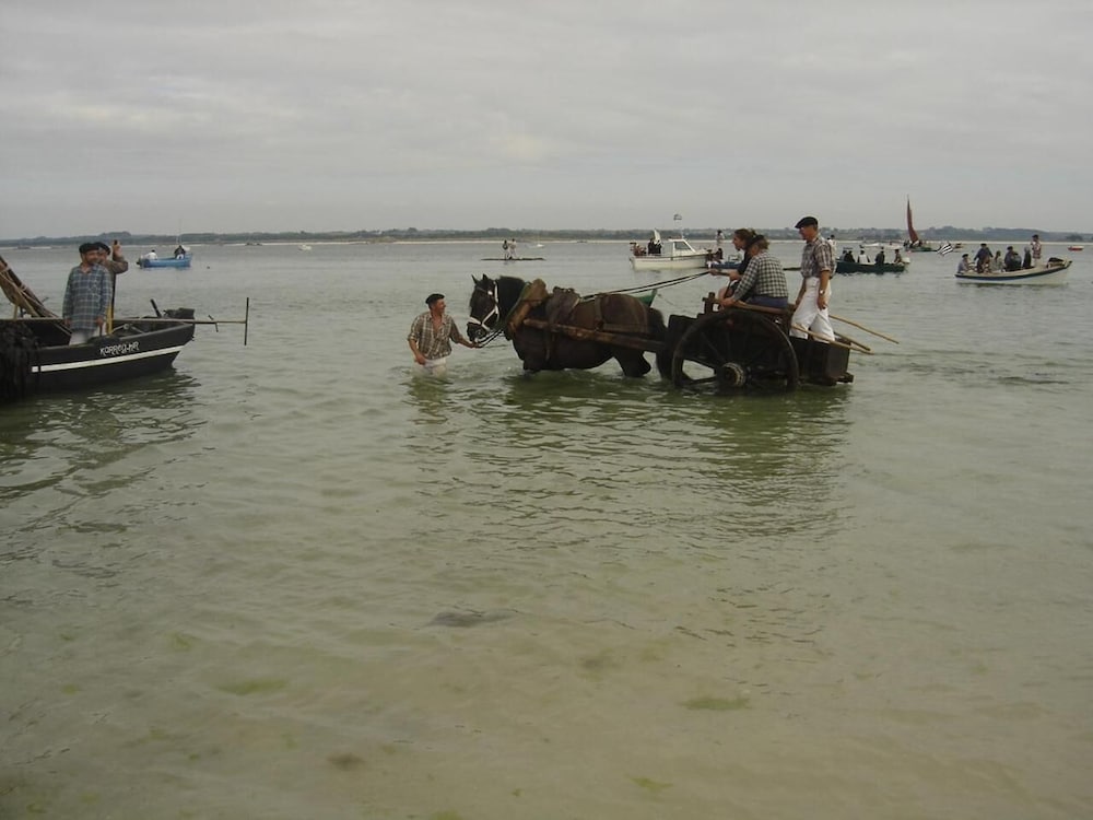 Photo 45