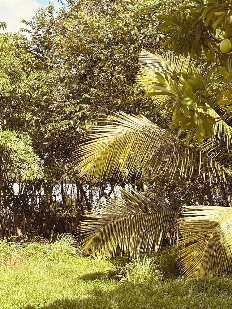 Jungle Breeze