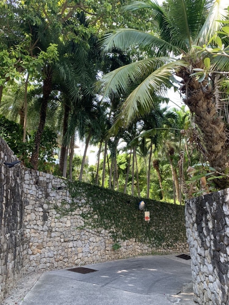 Jirana Patong