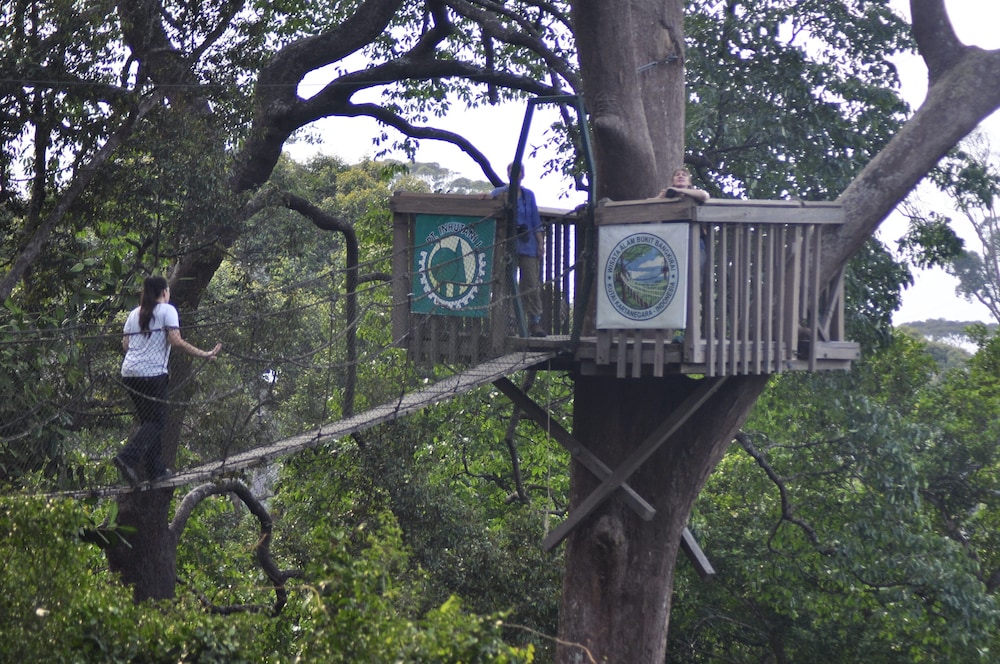 Samboja Lodge