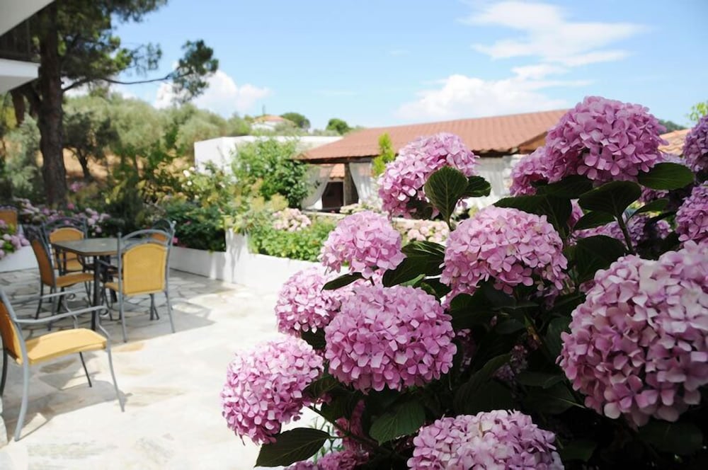 Skiathos Island Suites
