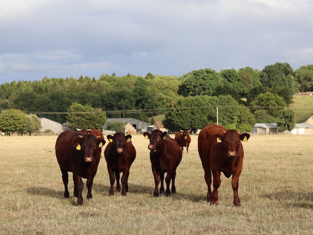 The Anchorage @ Nables Farm