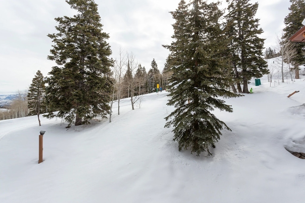 Stag Lodge at Deer Valley Resort - Four Bedroom Residence with Loft and Spa #29 4 Condo