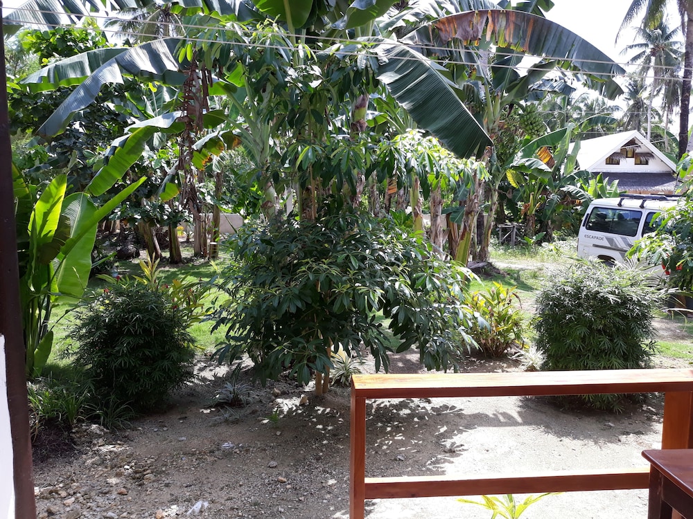Photo 15
