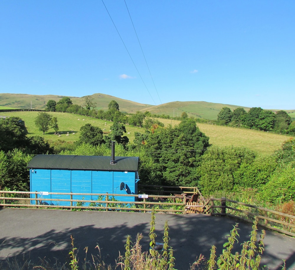 Cuckoo at Wild Valley Huts