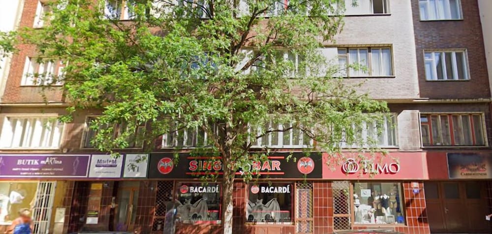 Sokolovska Apartment