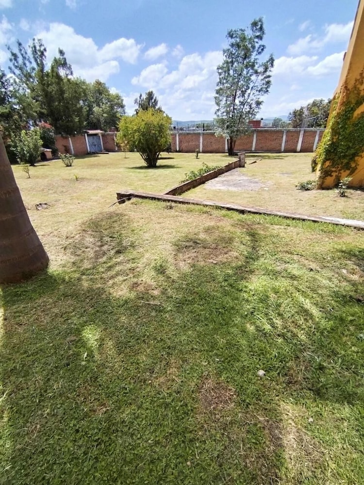 Photo 24
