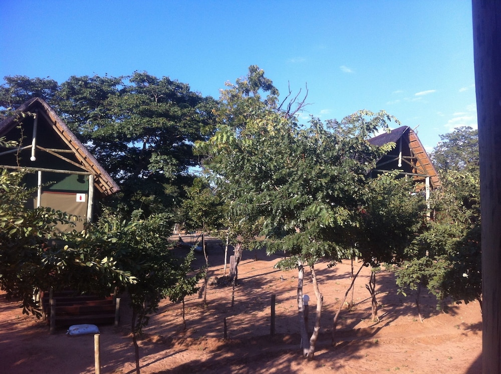 Lion Roars Lodge