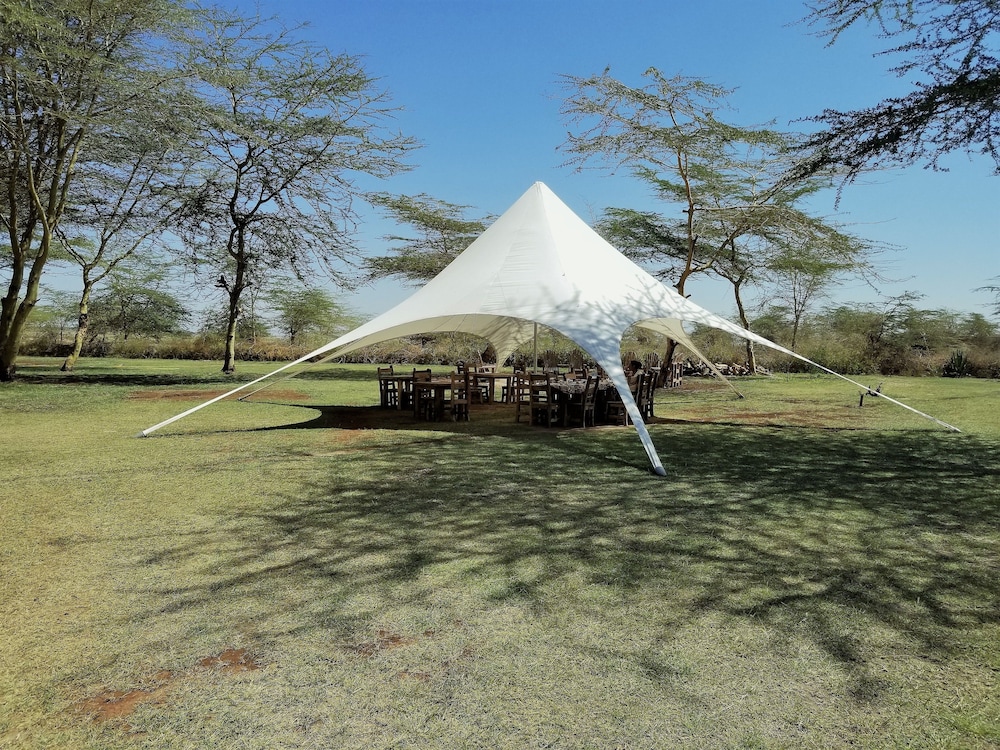Africa Safari Lake Manyara