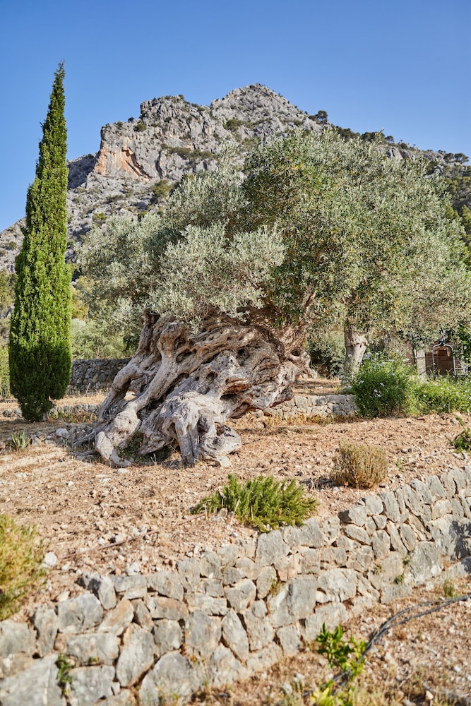 Photo 43