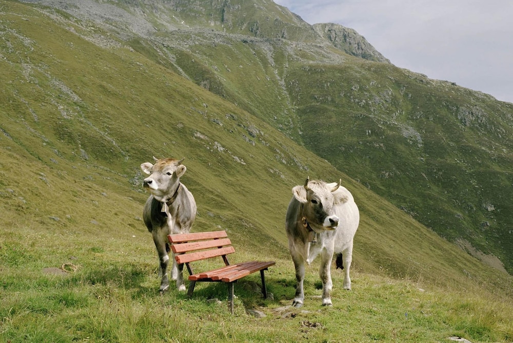 Photo 40