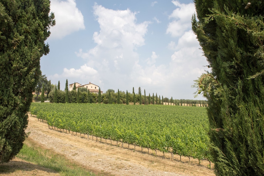 Le Buche Wine Resort & Spa