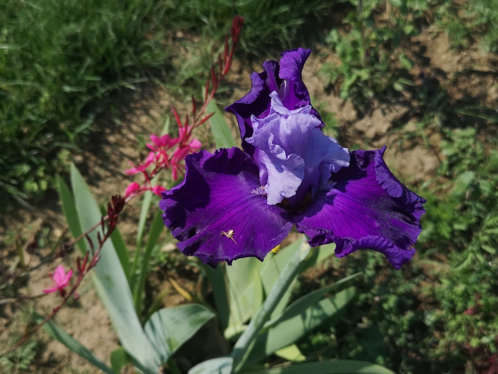 Photo 47