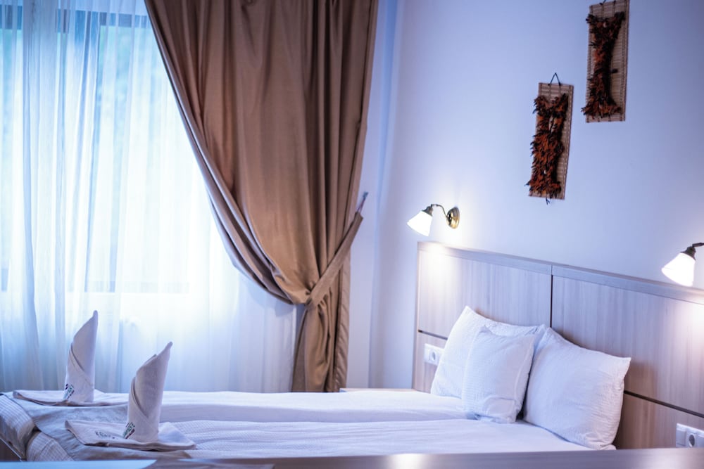 Hotel Claris Valiug