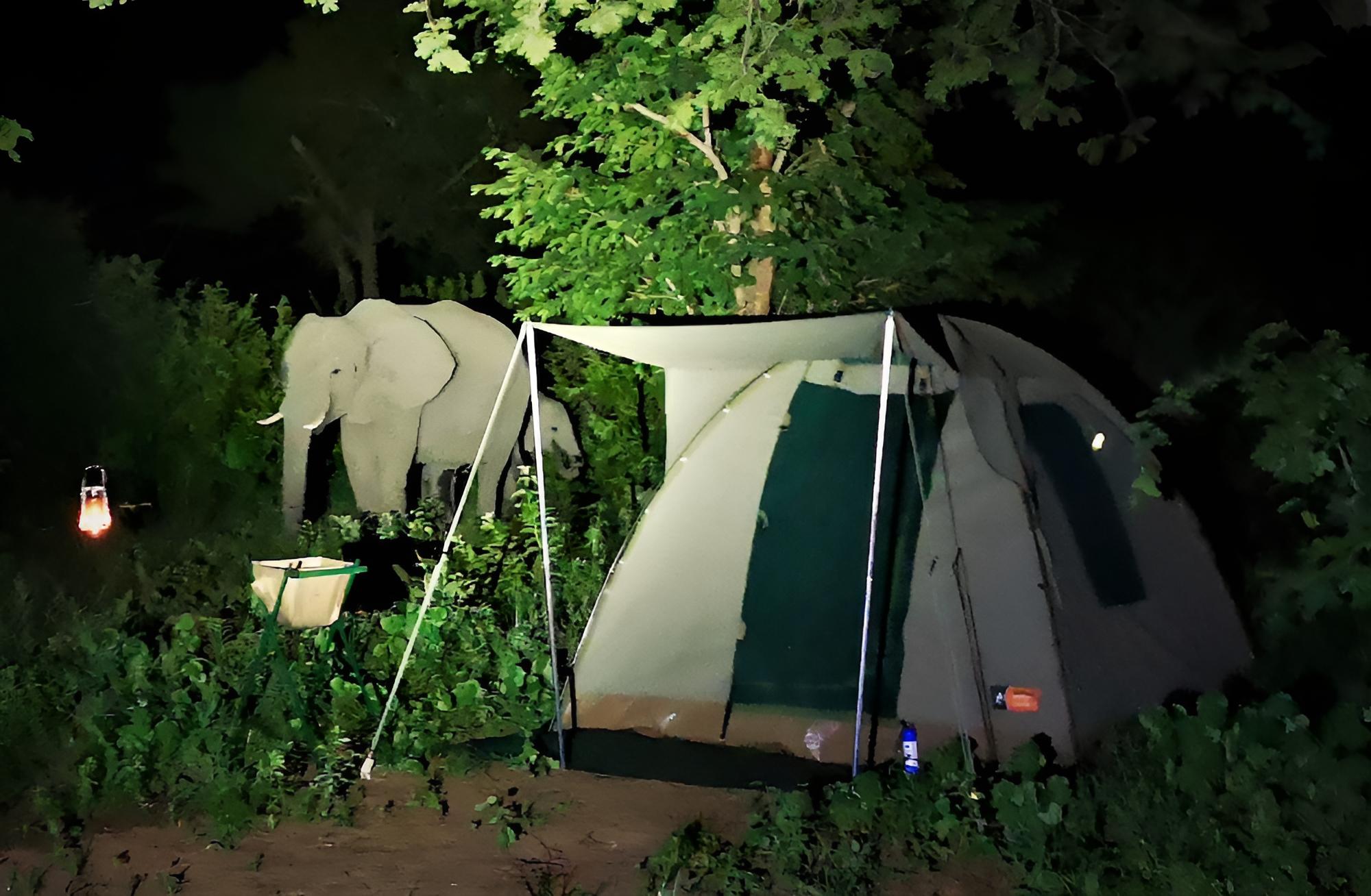 Jollyboys Camp - Hostel
