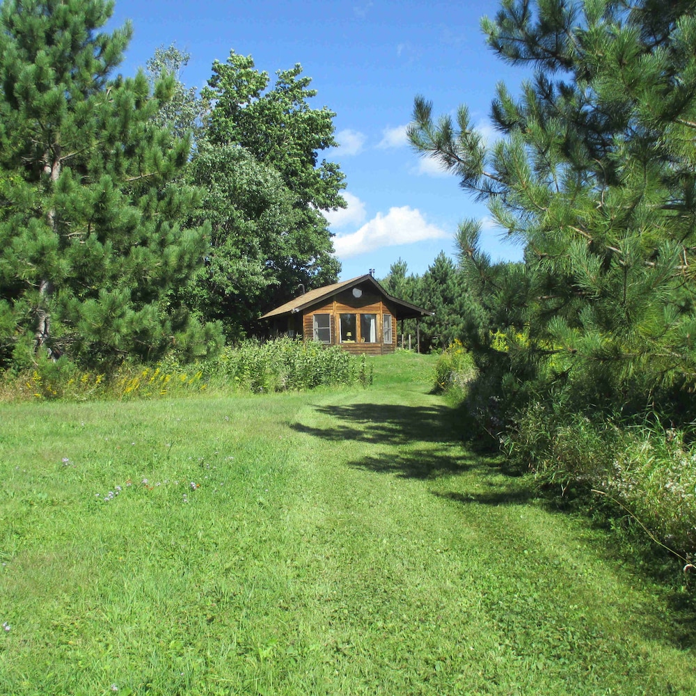 Shire In The Woods