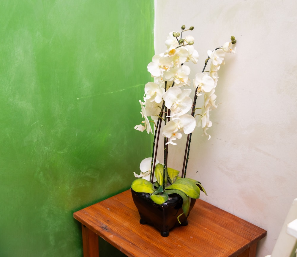 Romatic Guest House