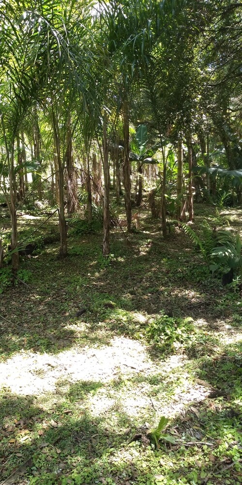 Brisa da Mata Ecolodges view 5