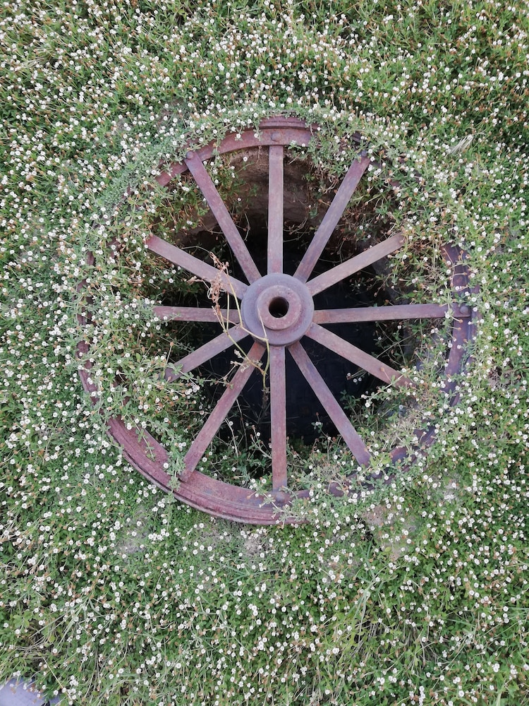 Photo 18