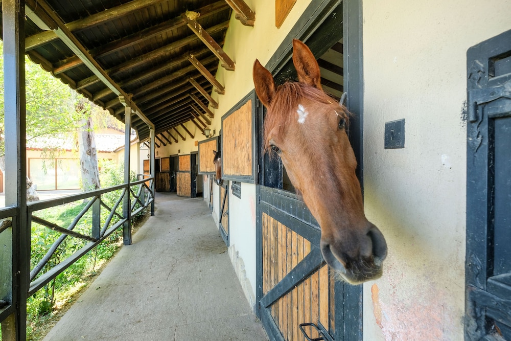Berke Ranch & Nature - Özel Sınıf - Image 60