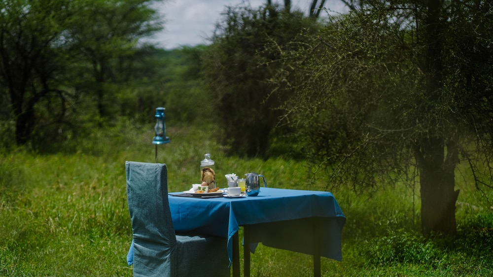 Angata Migration Camp