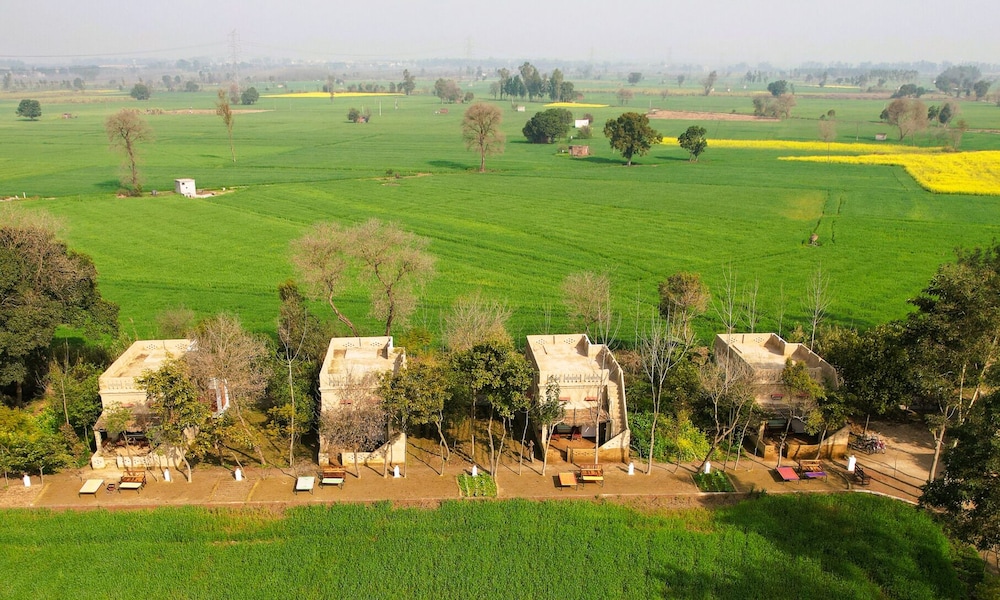 Punjab village farm near Amritsar