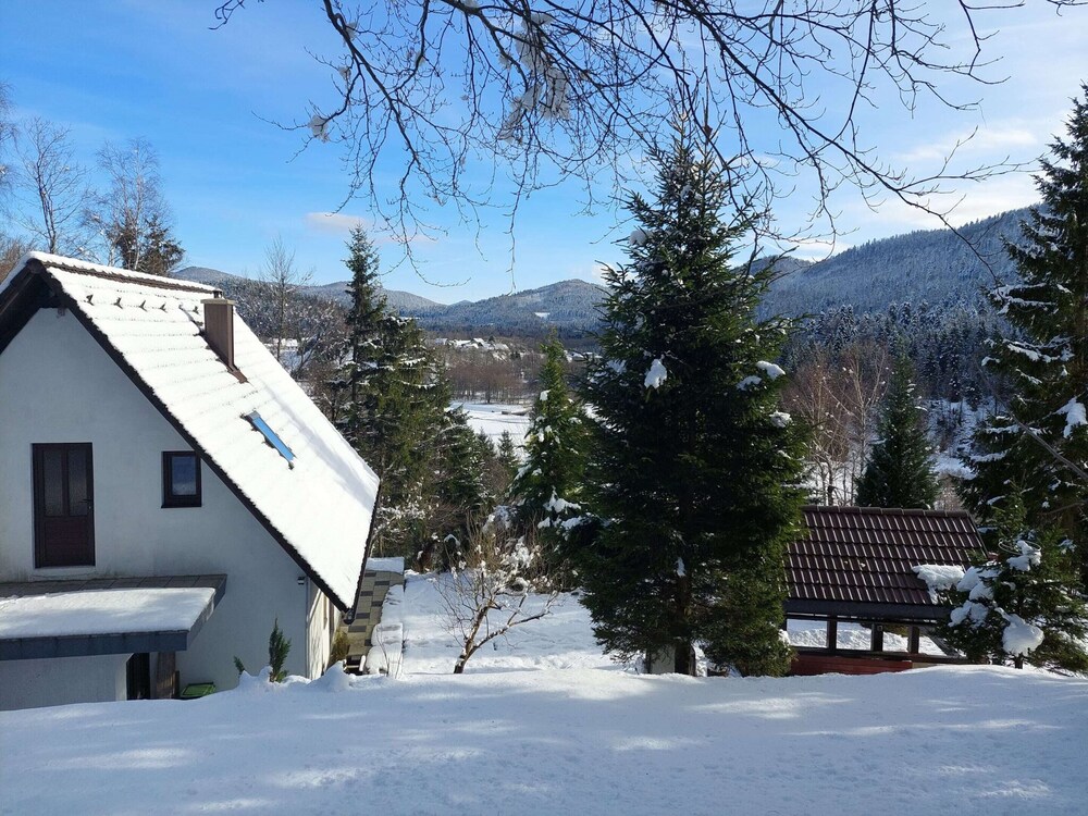 Photo 44