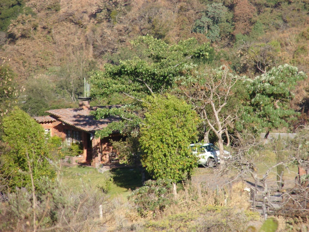 Photo 14