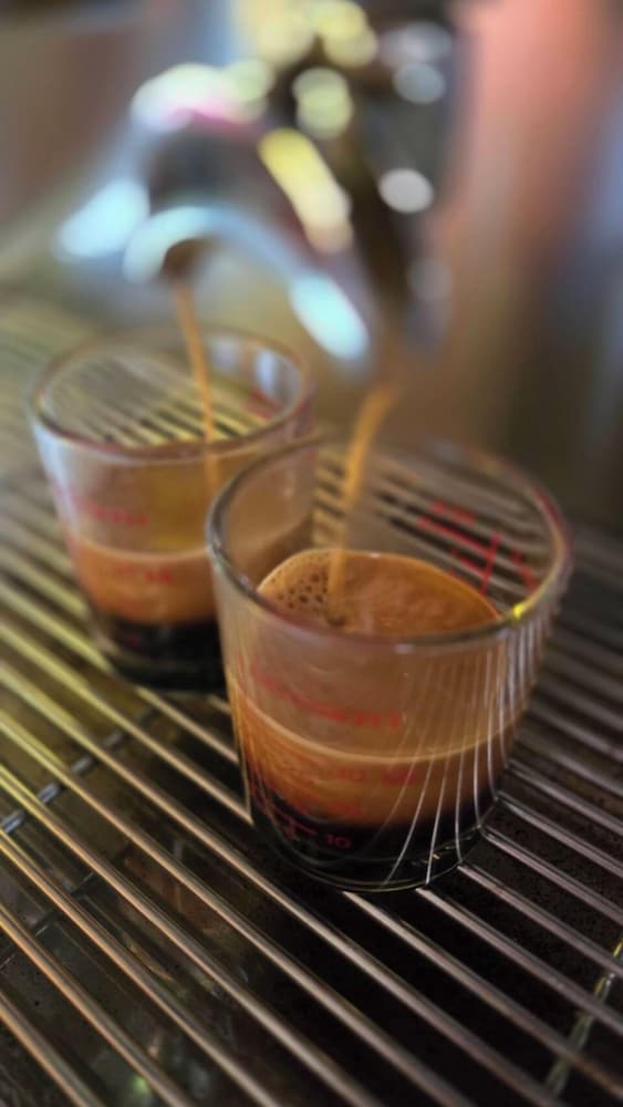 Zuu Tee Organic Farm & Roastery