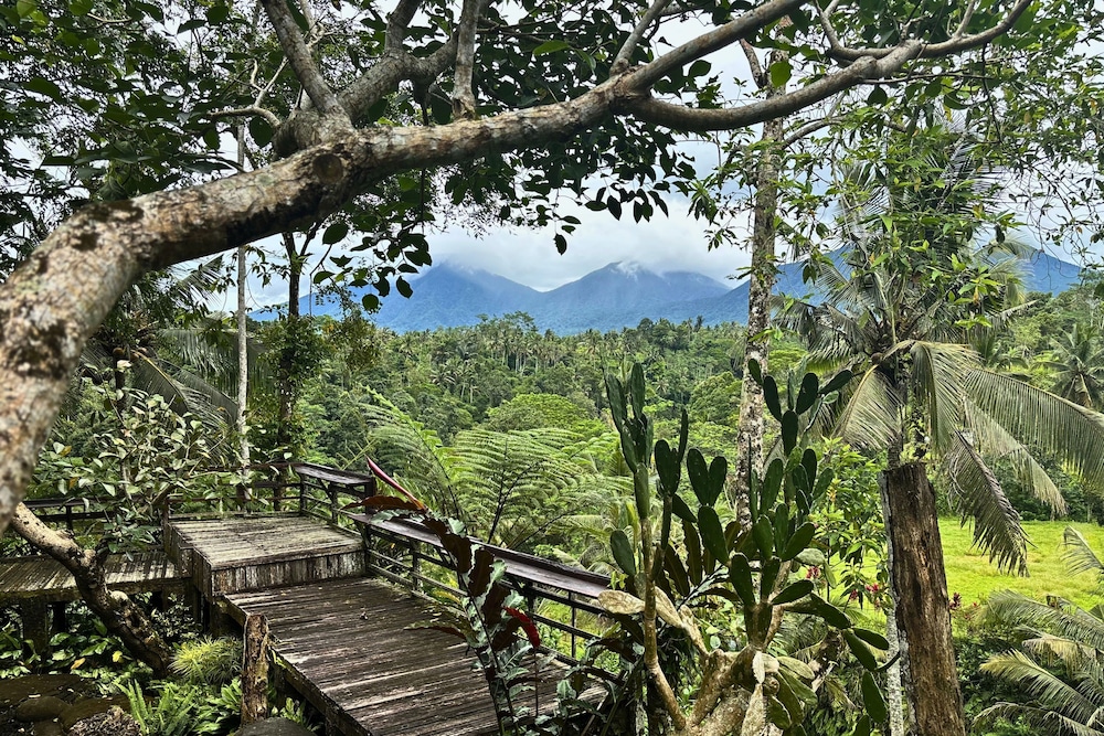 Four Mountains Villa Bedugul