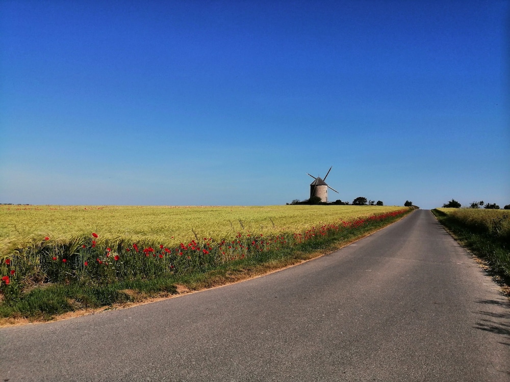 Le petit moulin rouge