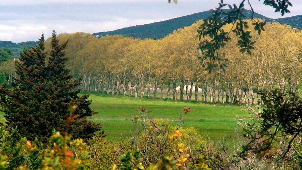Domaine de Ceyrac - Chambres d'hôtes