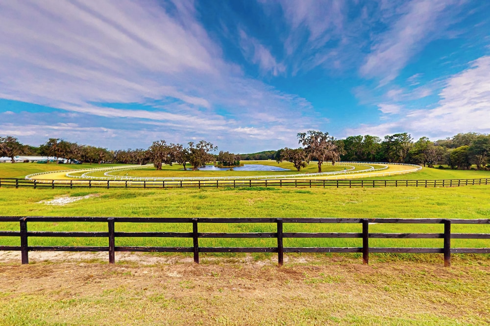 1 BR Guesthouse w/ Full Kitchen & Lake View