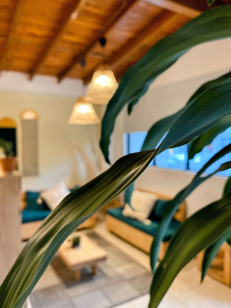 Luum Guest House view 3