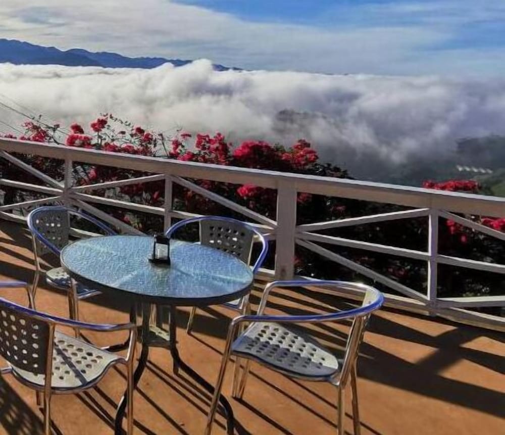 Alishan Tea Garden