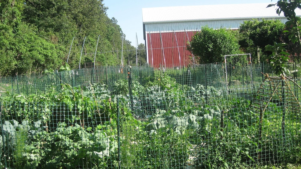 Flint Hill Farm AG