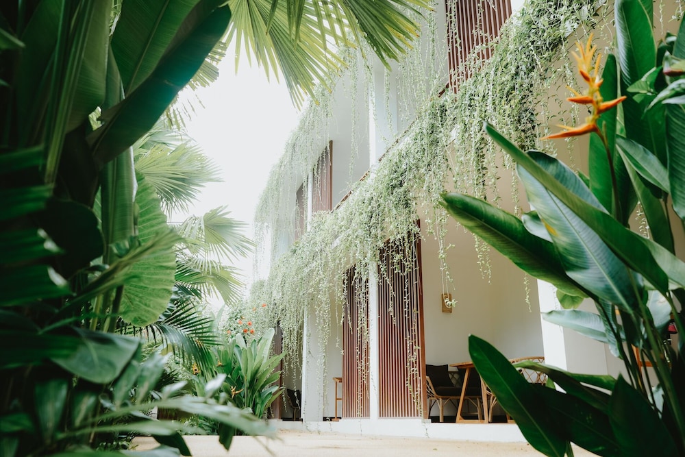 Hotel PORTER HOTEL - Surf & Yoga Retreat - Image 1