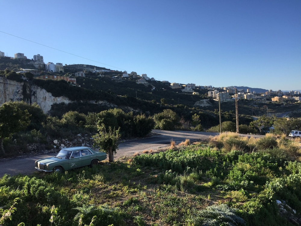 Photo 16