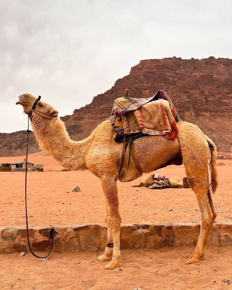 Wadi Rum Moon