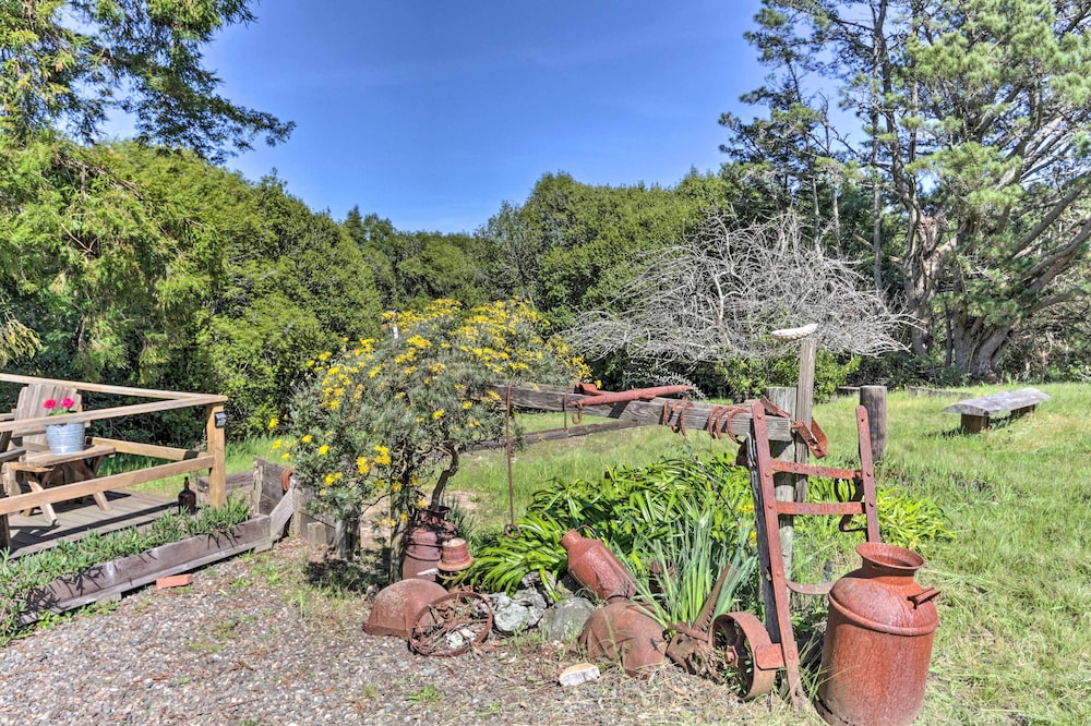 'moonview Ranch' on 20 Acres in Sonoma County!